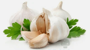 Pilz Knoblauch